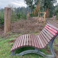 Ruhebank Damscheidblick