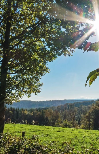 Natursteig Sieg Etappe 10