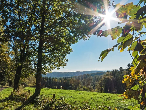 Natursteig Sieg Etappe 10