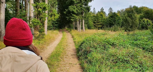 Landroute 2 Prüm
