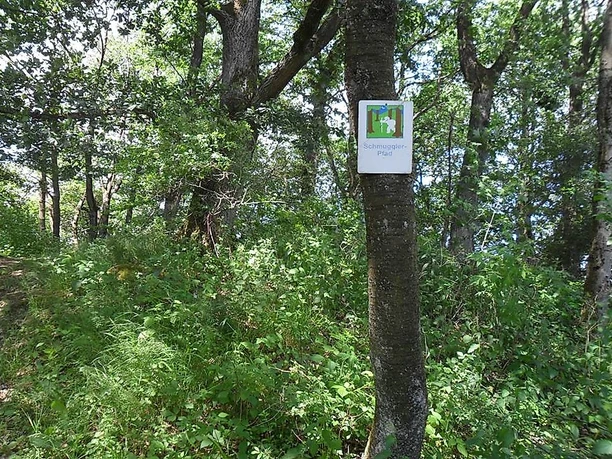 Markierung zeigt den Weg