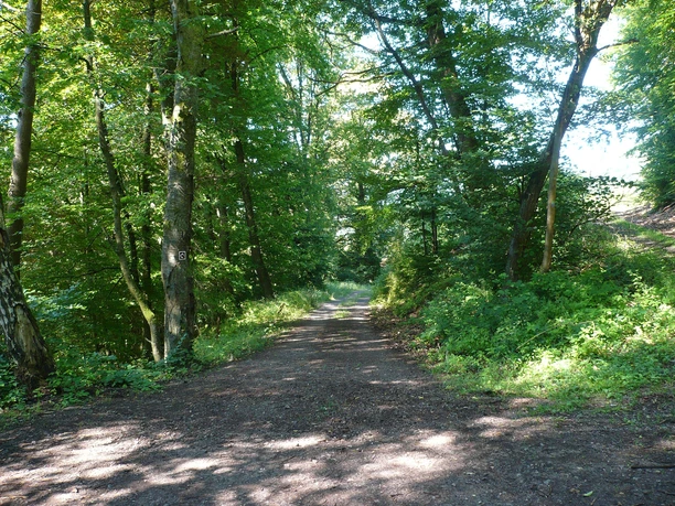 auf dem Maronenweg