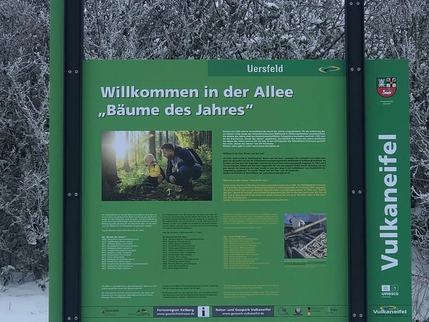 Allee Bäume des Jahres Allee Bäume des Jahres