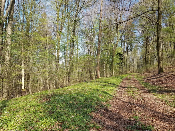 Tour 1 des PWV Donsieders