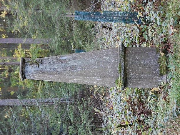Lindenstein 1