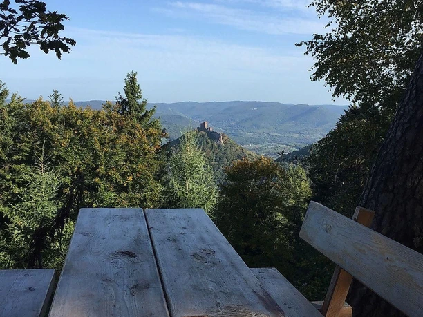 Rehbergturm mit Bank