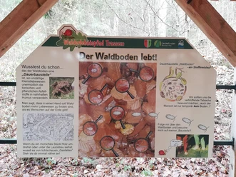Wald und Boden (1)