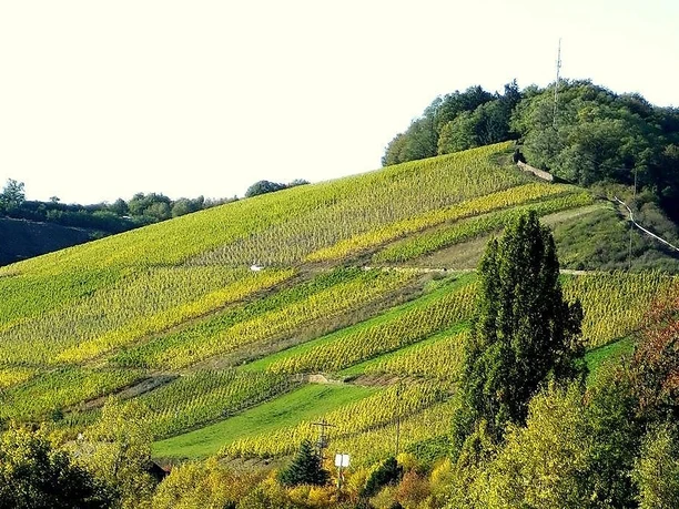 Wawerner Jesuitenberg (2)