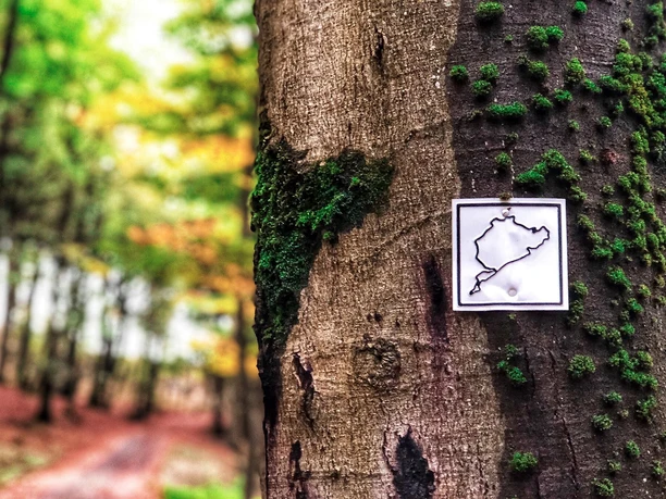 Wanderung Grüne Hölle