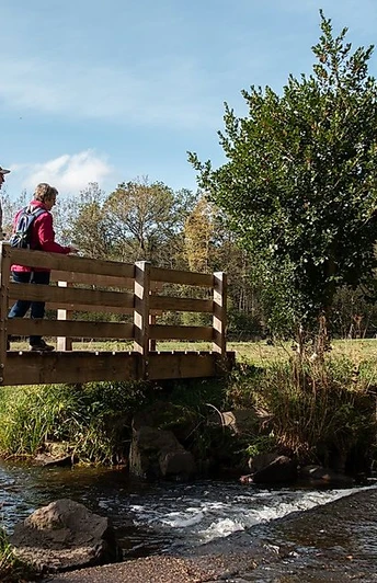 Auf der Traumschleife Georgi-Panoramaweg