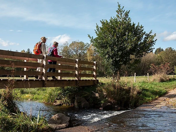 Auf der Traumschleife Georgi-Panoramaweg