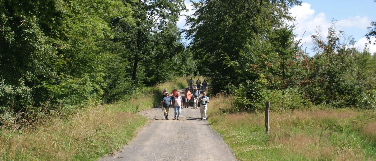 Wanderwege im Wisserland