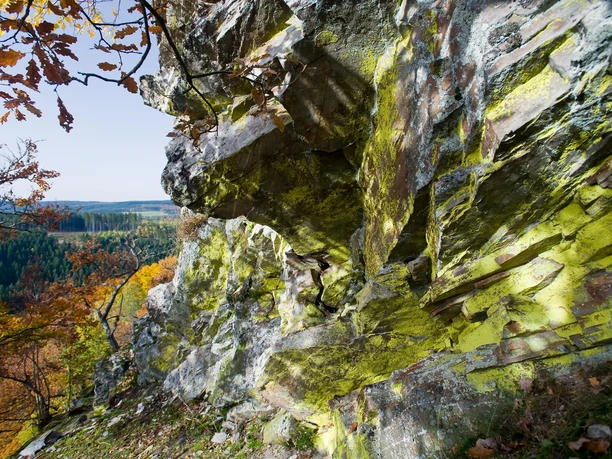 Naturpark