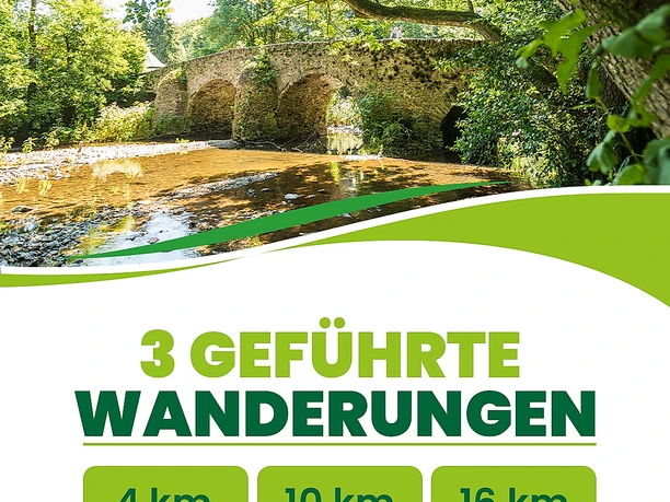 Flyer Wäller Tour