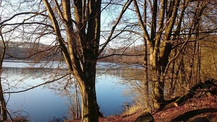 Pulvermaar im Herbst