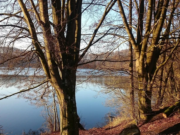 Pulvermaar im Herbst
