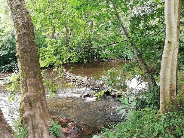Ruwerlauf in Kasel