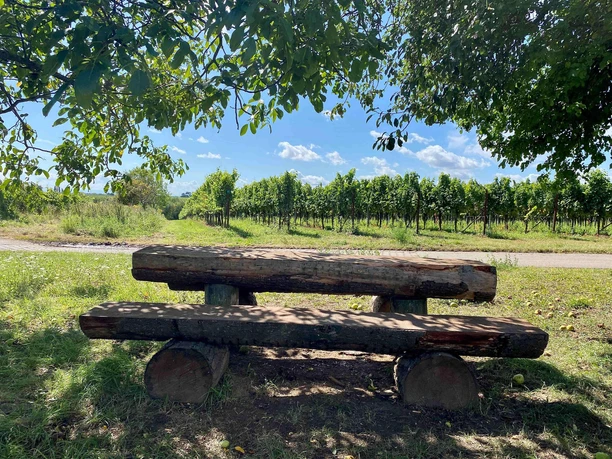 Picknickplatz "Im Rebenmeer"
