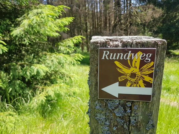 Fuchskaute Arnika Rundweg