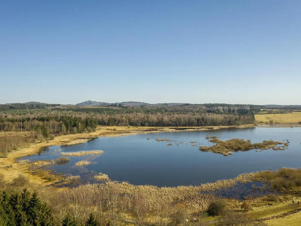 Jungferweiher Ulmen