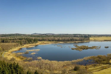 Jungferweiher Ulmen