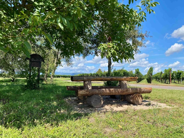 Picknickplatz "Unter den Bäumen" (4)