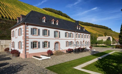 Weingut Cantzheim (1)