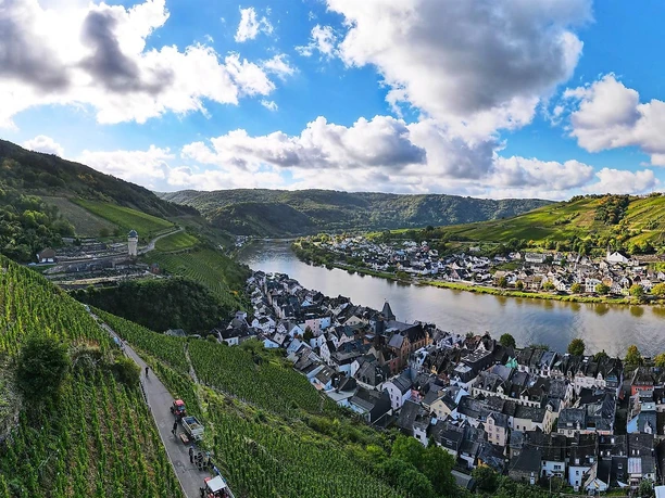 Panorama Zell (Mosel)
