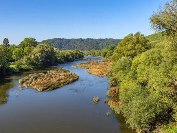 Naturschutzgebiet Wiltinger Saarbogen (1)