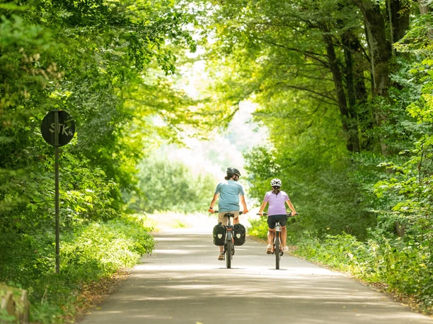 Radtour durch den Bienwald