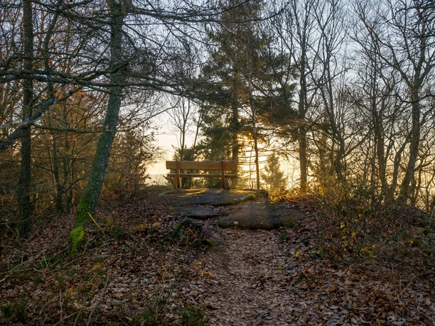 winterliche Morgenstimmung auf dem Richard Löwenherz Weg