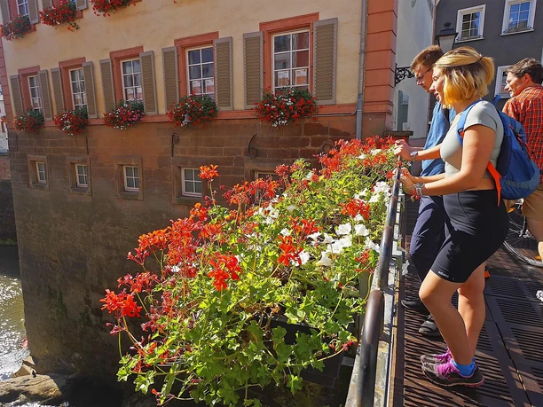 Stadtführung Saarburg (2)