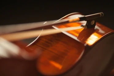 Violoncello