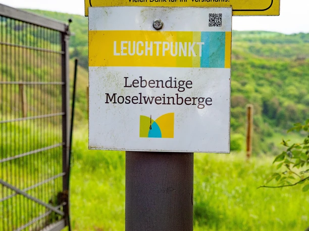 Sommerauer Schloßberg 1