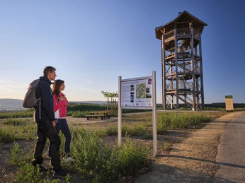 Nationalparkblick Aussichtsturm, Rascheid