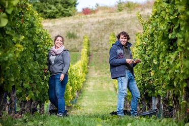 Weingut Stefan Müller (1)