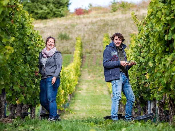 Weingut Stefan Müller (1)