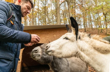 Wildpark Donsbach Herbst 2020
