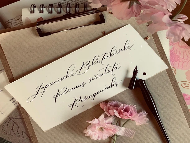 Handlettering1