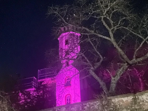 Slevogtturm in Rosa