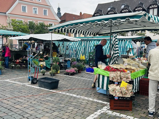 Gemüse und Pflanzen
