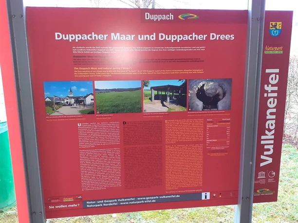 Infotafel Duppacher Maar und Duppacher Drees