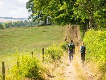 Wandern auf dem Rursee-Höhenweg
