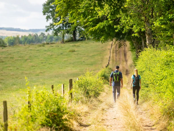 Wandern auf dem Rursee-Höhenweg