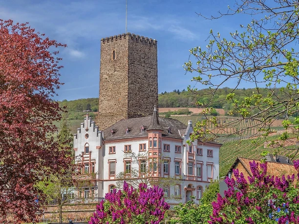 Boosenburg