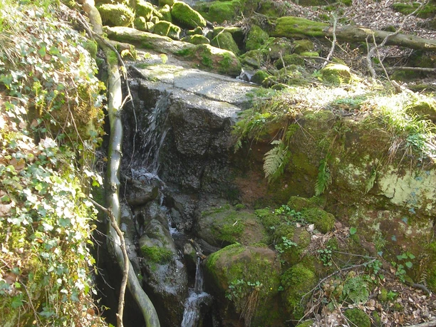 Ewigbachtal (02)