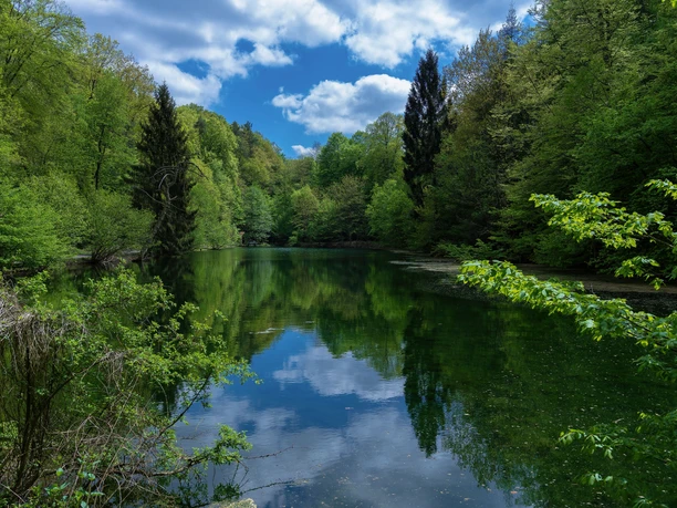 Annaweiher im Waschtal