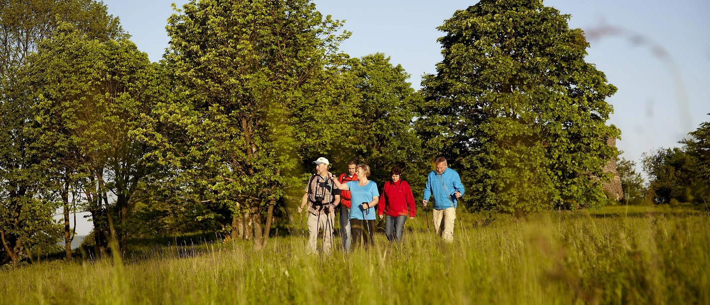 Wanderung im Morgentau