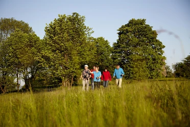 Wanderung im Morgentau
