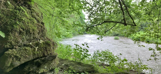 Ederstede Burgwald
